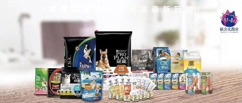雙11寵物市場悖論 廠商突圍，電商敗退，長沙文化創(chuàng)意新視野
